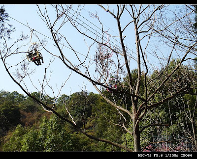 Image 28: http://farm1.static.flickr.com/149/370804685_331338200c.jpg?v=0